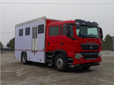 Sinotruk Howo 4×2 Double Cab Special Emergency Equipment Vehicle