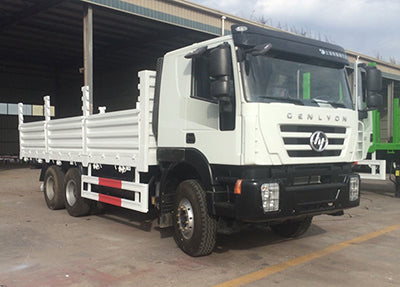 6×4 Euro V Cargo Truck