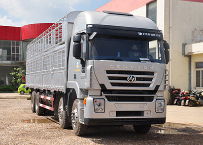 8×4 Euro III Cargo Truck